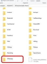 carpeta-whatsapp