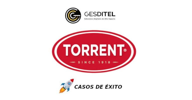 Grupo Torrent